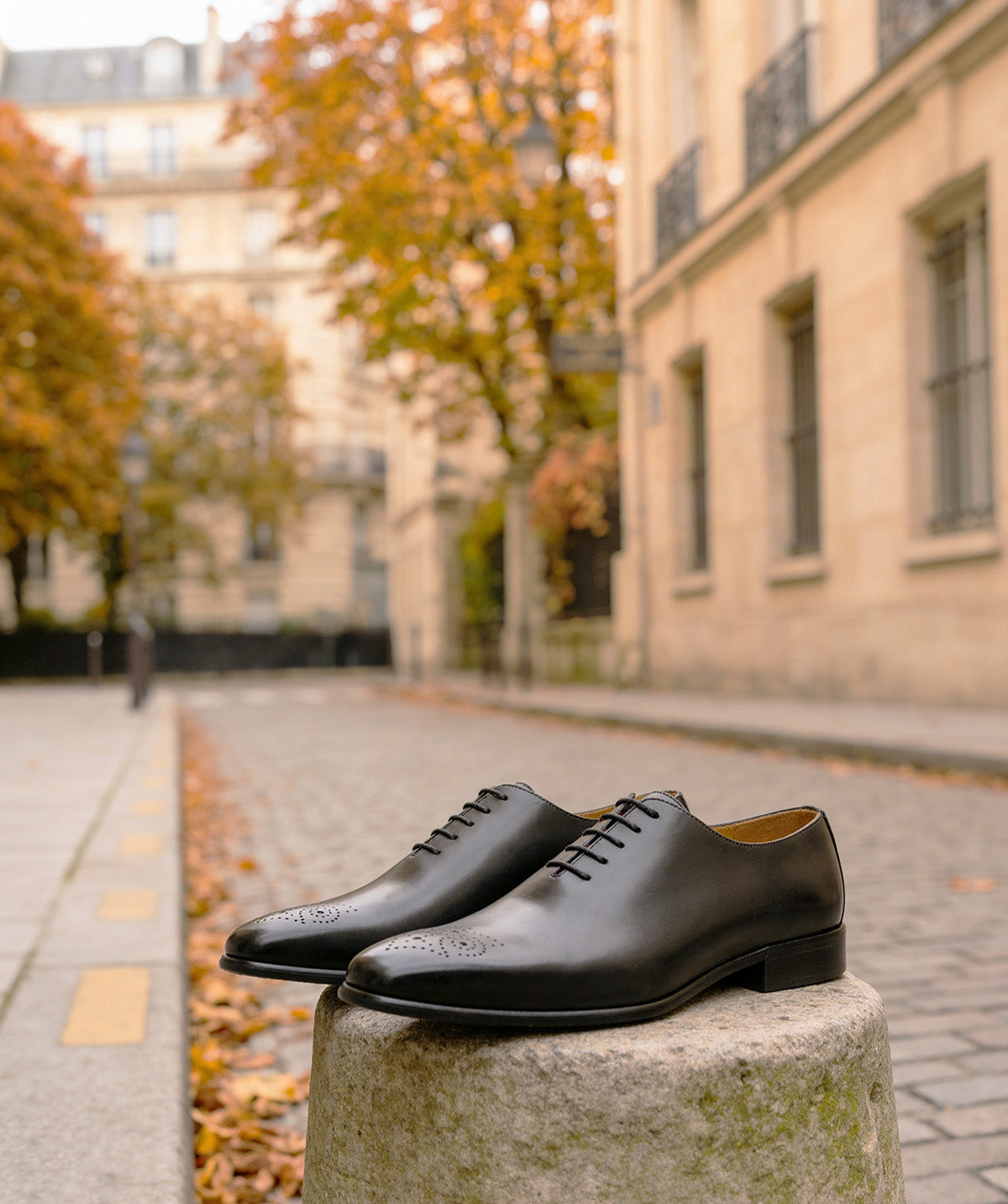 Oxford DARIO Grey