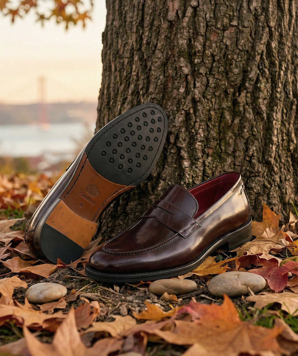 OSCAR Burgundy Loafer